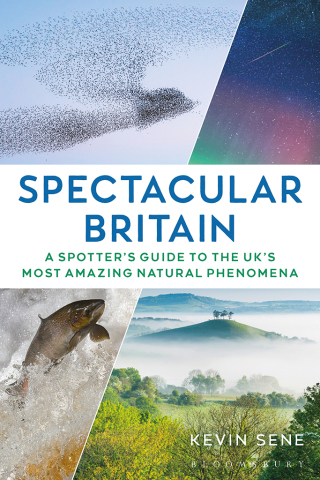 Immagine di copertina: Spectacular Britain 1st edition 9781844866342