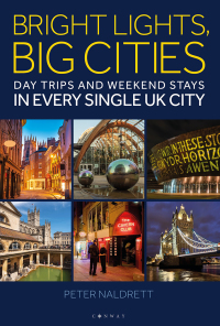 Cover image: Bright Lights, Big Cities 1st edition 9781844866632