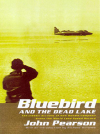 Cover image: The Bluebird and the Dead Lake 9781781311721
