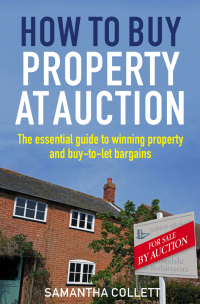 Cover image: How To Buy Property at Auction 9781845285289