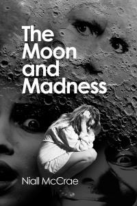 صورة الغلاف: The Moon and Madness 1st edition 9781845402143