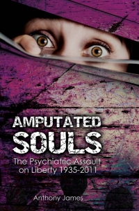 Cover image: Amputated Souls 1st edition 9781845404505