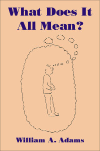 Titelbild: What Does It All Mean? 1st edition 9781845401016