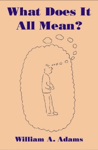 صورة الغلاف: What Does It All Mean? 1st edition 9781845401016