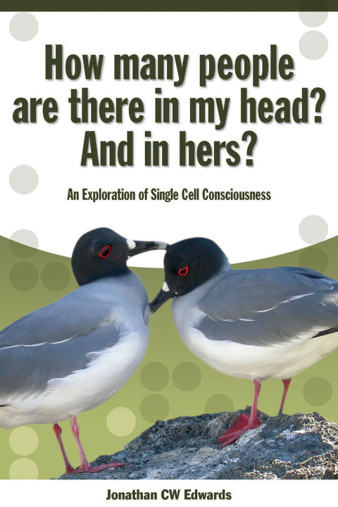 How Many People Are There In My Head? And In Hers?, 1st Edition - FULL INSTANT DOWNLOAD | PDF DOCX EPUB