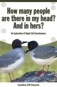 Immagine di copertina: How Many People Are There In My Head? And In Hers? 1st edition 9781845400729