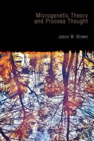 表紙画像: Microgenetic Theory and Process Thought 1st edition 9781845407698