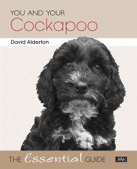 Cover image: You and Your Cockapoo 9781845843205