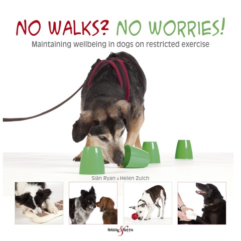No walks? No worries!: Maintaining wellbeing in dogs on restricted exercise - FULL INSTANT DOWNLOAD | PDF DOCX EPUB