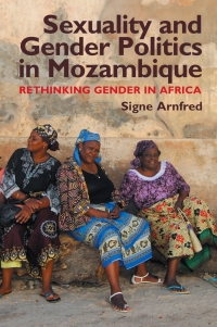 表紙画像: Sexuality and Gender Politics in Mozambique 1st edition 9781847010353