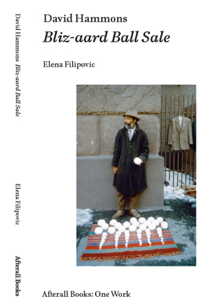 Cover image: David Hammons 9781846381867