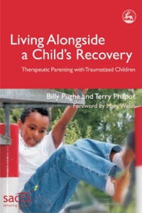 Cover image: Living Alongside a Child's Recovery 9781843103288
