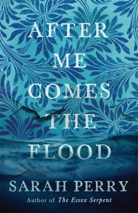 Cover image: After Me Comes the Flood 9781781253649