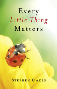 Imagen de portada: Every Little Thing Matters 9781846944239