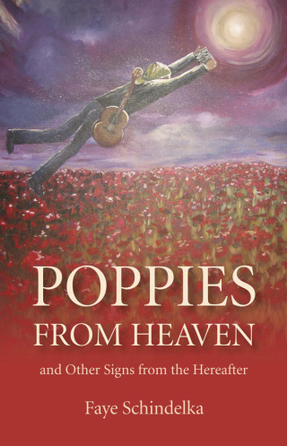 Cover image: Poppies From Heaven 9781846944093