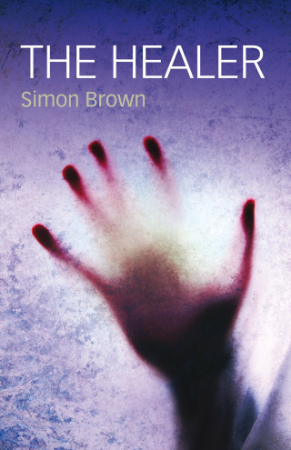 Cover image: The Healer 9781846942051