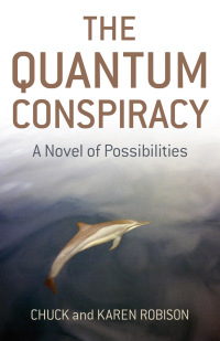 Imagen de portada: The Quantum Conspiracy 9781846941672