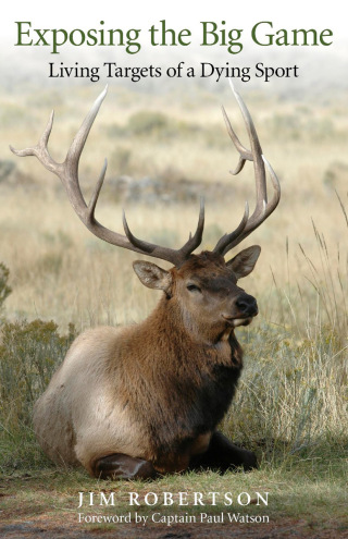 Cover image: Exposing the Big Game 9781846948084