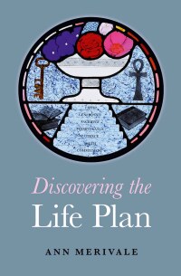 Cover image: Discovering the Life Plan 9781846948213