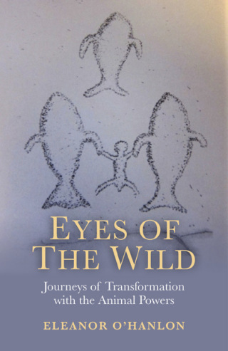 Imagen de portada: Eyes of the Wild 9781846949579