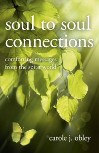 صورة الغلاف: Soul to Soul Connections 9781846949678