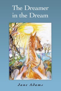 Cover image: The Dreamer in the Dream 9781846949821