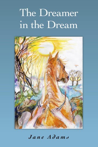 Cover image: Dreamer in the Dream 9781846949821