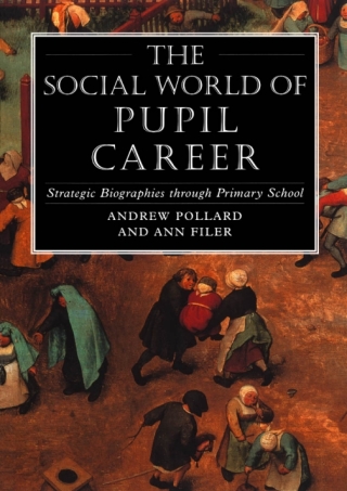 Imagen de portada: The Social World of Pupil Career 1st edition 9780304326402