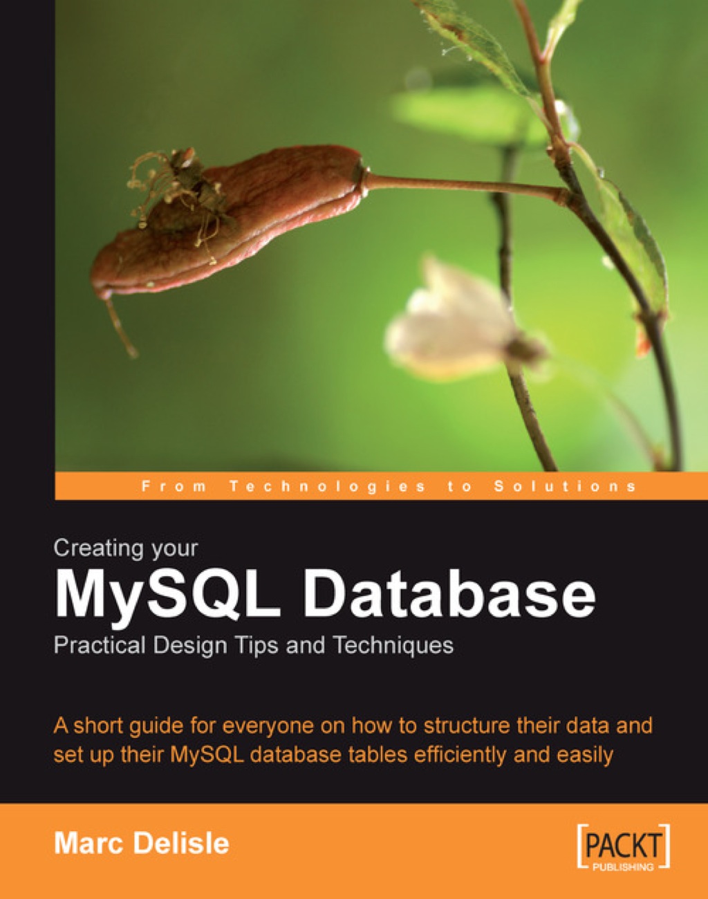 Creating your MySQL Database: Practical Design Tips and Techniques 1st Edition