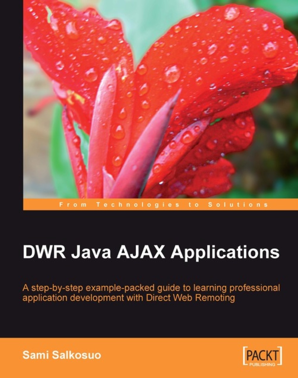 DWR Java AJAX Applications 1st Edition