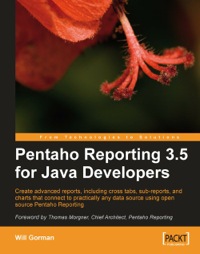 Cover image: Pentaho Reporting 3.5 for Java Developers 1st edition 9781847193193