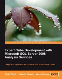 Cover image: Expert Cube Development with Microsoft SQL Server 2008 Analysis Services 1st edition 9781847197221
