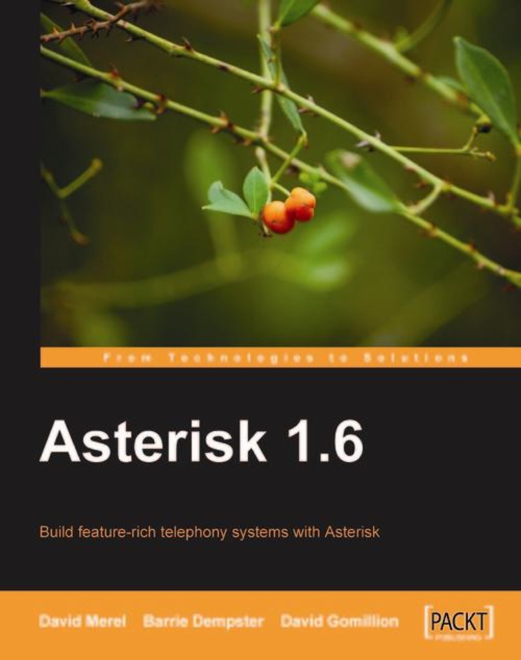 Asterisk 1.6 1st Edition