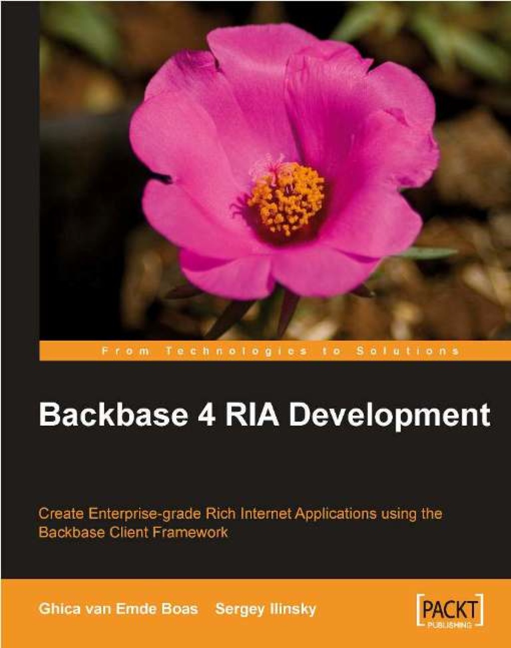 Backbase 4 RIA Development 1st Edition