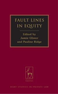 Cover image: Fault Lines in Equity 1st edition 9781849462198