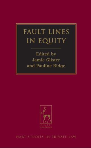 Cover image: Fault Lines in Equity 1st edition 9781849462198