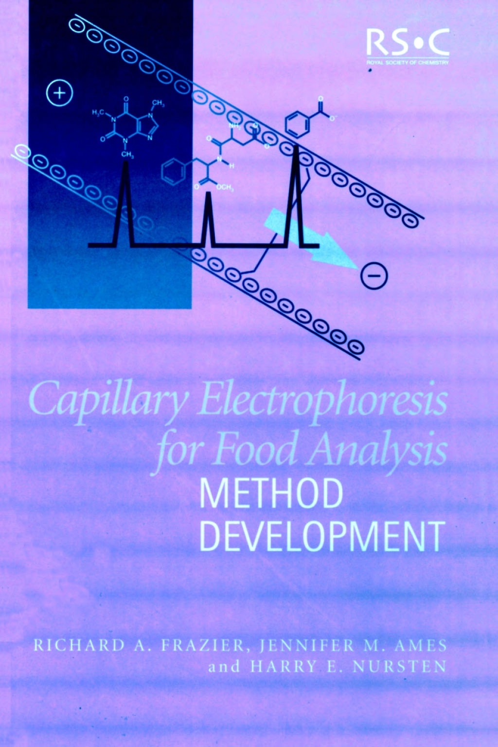 Capillary Electrophoresis for Food Analysis Method Development 1st Edition
