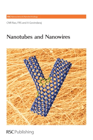 Cover image: Nanotubes and Nanowires 1st edition 9781849732840