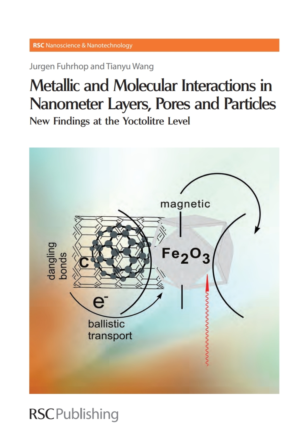 Metallic and Molecular Interactions in Nanometer Layers, Pores and Particles New Findings at the Yoctolitre Level 1st Edition