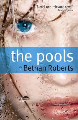 Immagine di copertina: The Pools 9781846686511