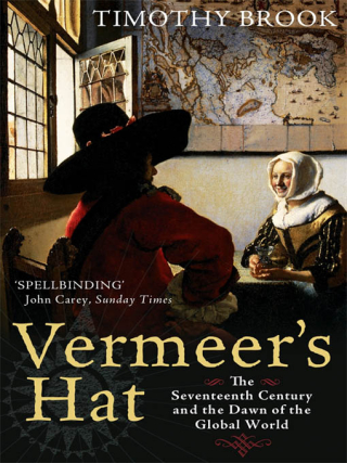 Cover image: Vermeer's Hat 9781846681202