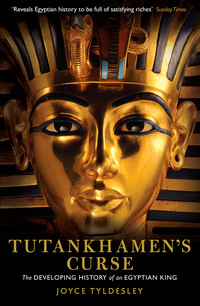Titelbild: Tutankhamen's Curse 9781861971661