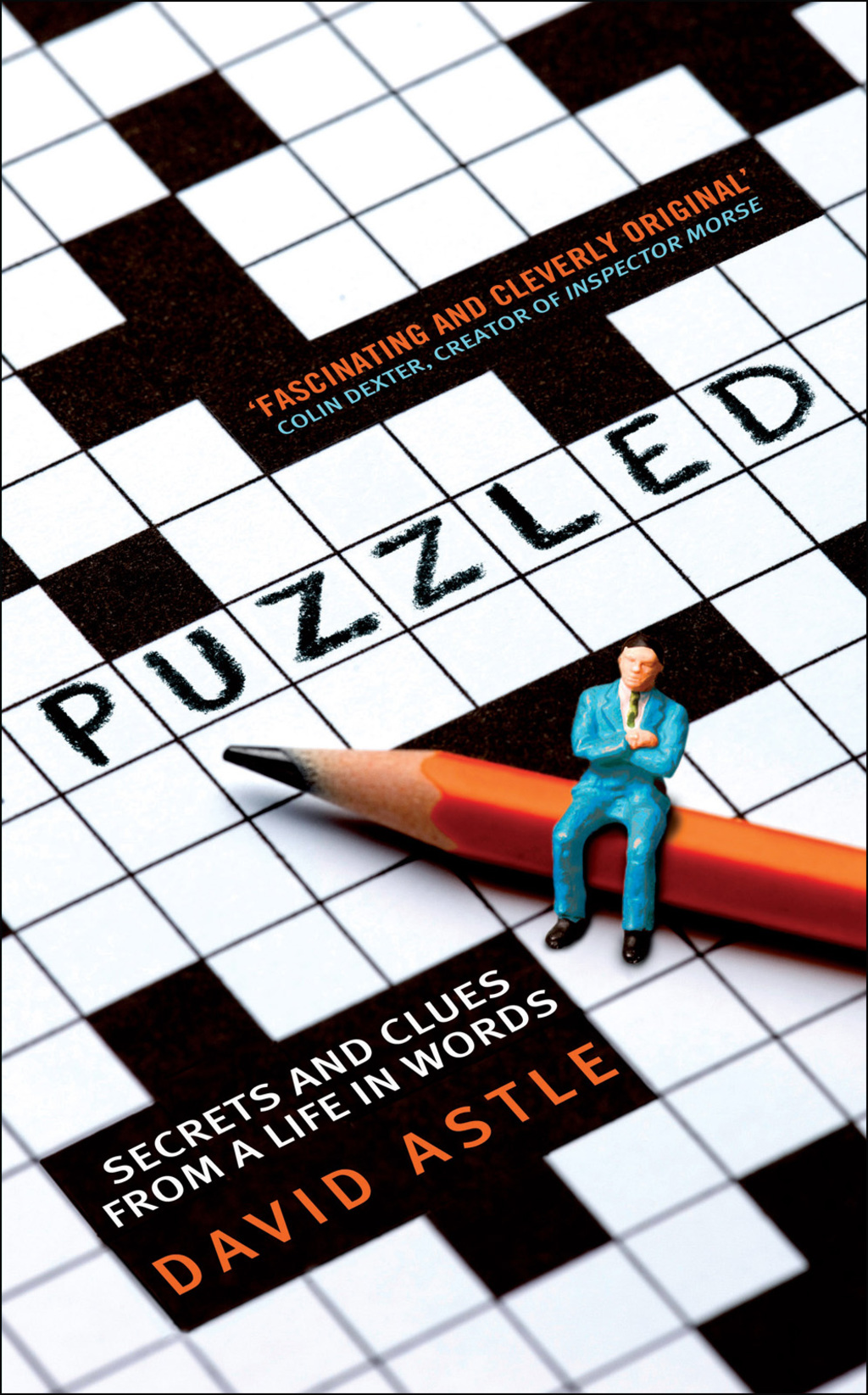 Puzzled (eBook)