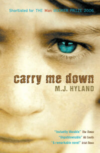 Cover image: Carry Me Down 9781841959061