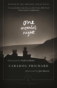 Cover image: One Moonlit Night 9781847671073