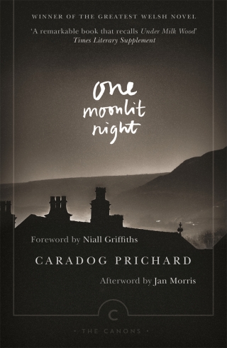 Imagen de portada: One Moonlit Night 9781782116769