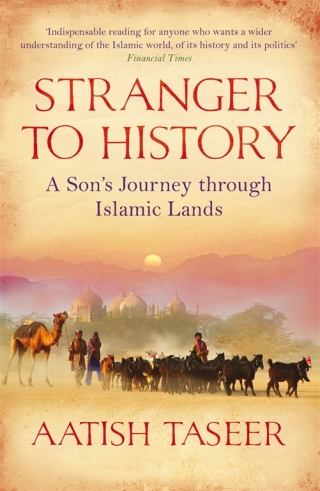 表紙画像: Stranger to History 9781847671318
