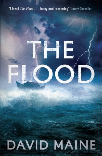 Imagen de portada: The Flood 9781841959658