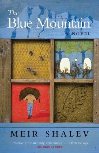 Cover image: The Blue Mountain 9781841952420