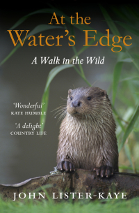 Immagine di copertina: At the Water's Edge 9781847674043